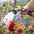 Kép 5/5 - Gardena Comfort tisztító öntözőfej