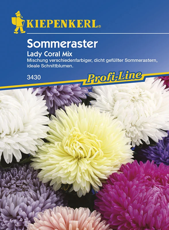 Őszirózsa Lady Coral Mix 'PG-G' KIEPENKERL