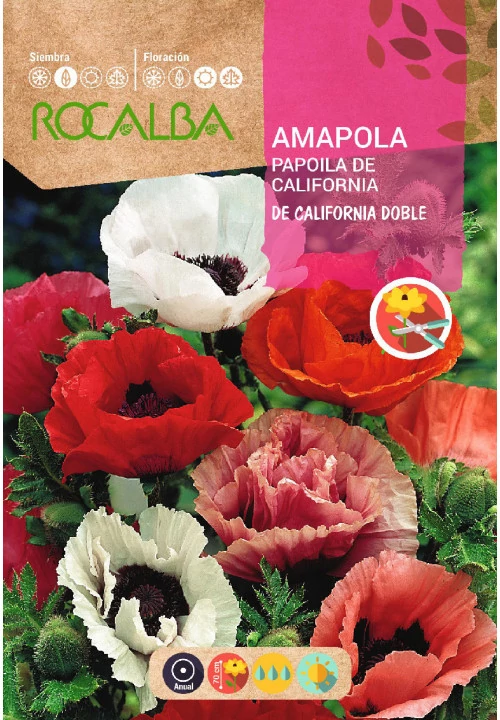 Díszmák California Double 2g ROCALBA