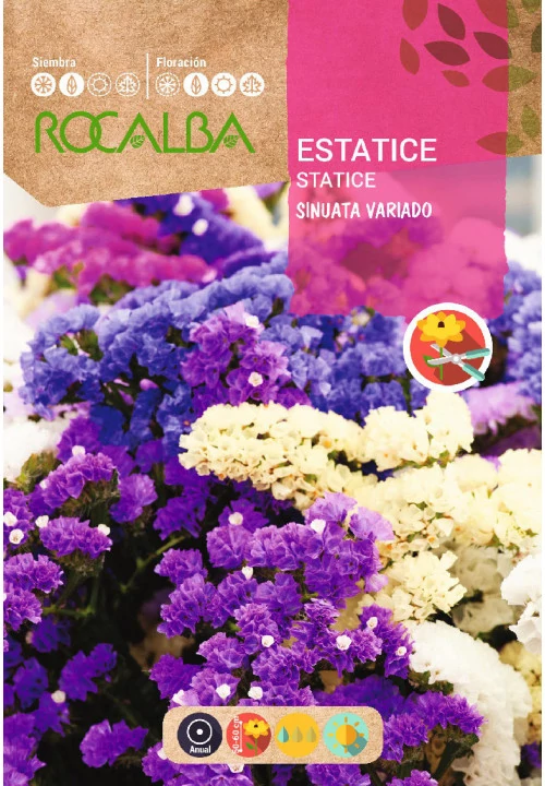 Sóvirág szk 1g ROCALBA