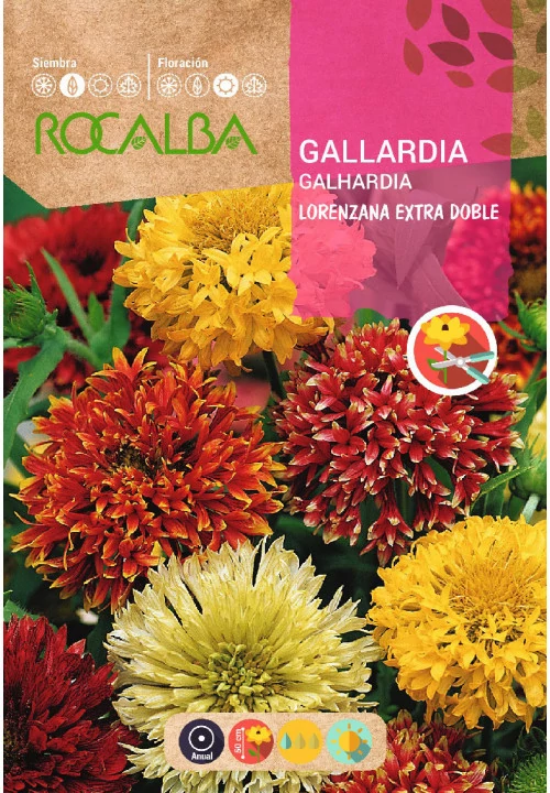 Kokárdavirág szk. 3g ROCALBA