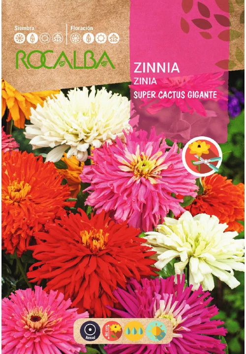 Legényvirág kaktuszvirágú színkeverék 6g ROCALBA