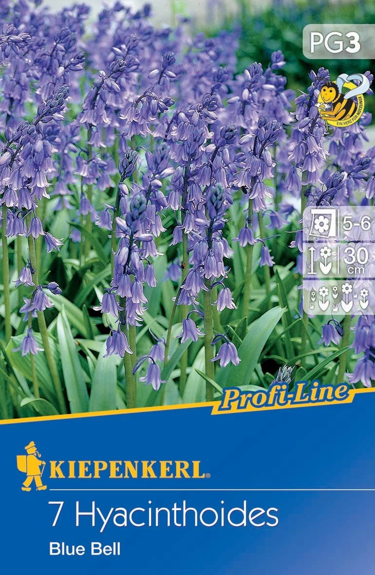 Kékcsengő Blue Bell (7 db/cs) 'PG-3' KIEPENKERL