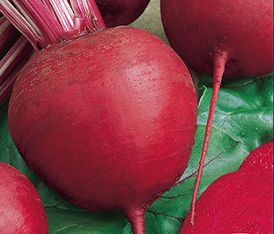 Cékla Detroit 250g (Nagy kiszerelés) RÉDEI